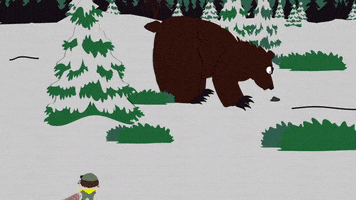 bear sniffing GIF by South Park 