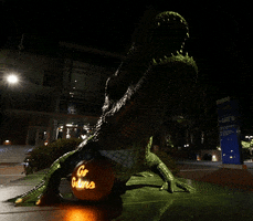 jack-o-lantern halloween GIF by University of Florida