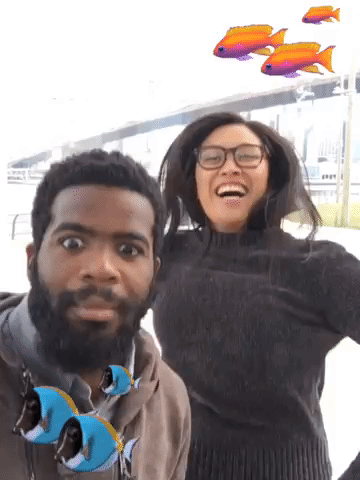 Framebeta GIF by StevieTurnsOne