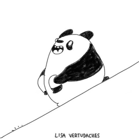Panda Roly Poly Gif Panda Rolling GIFs - Get the best GIF on GIPHY