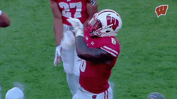 Rolling College Football GIF by Wisconsin Badgers