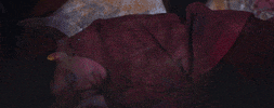 Sleep Sleeping GIF by Merry Christmas Mr. Fields