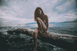 GIF by Omid Pakbin