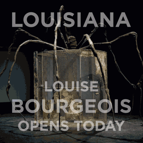 louisiana #louisebourgeois "louisiana #louisianamuseum #structuresofexistence #thecells GIF