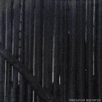 arnold schwarzenegger predator GIF by foxhorror