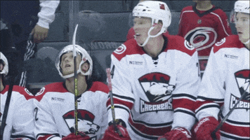 celebration bench GIF by Charlotte Checkers
