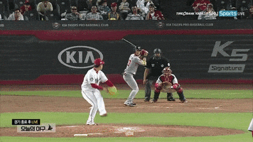 cmvky2fyzdi0qg1hyy5jb20  GIF