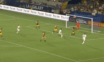mike magee goal GIF by LA Galaxy
