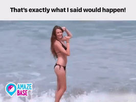 amazebase  GIF