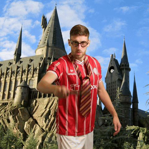 Harry Potter Football GIF by Bristol City FC