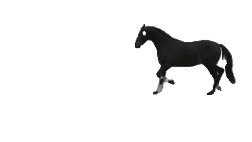 Horse Hengst Sticker by Toetti