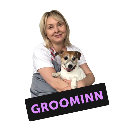 Dog Groom Sticker by BM Institute