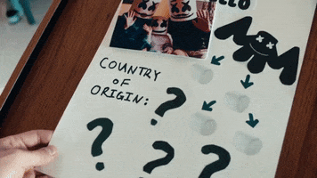 Country Of Origin GIF by Marshmello