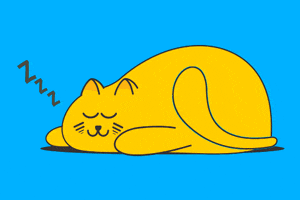 Cat Sleeping GIF by Omer Studios