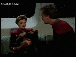wittnl star trek q maury not the father GIF