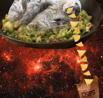 Space Sloth GIF by omgslothsinspace