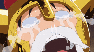 Sad One Piece GIF by Funimation