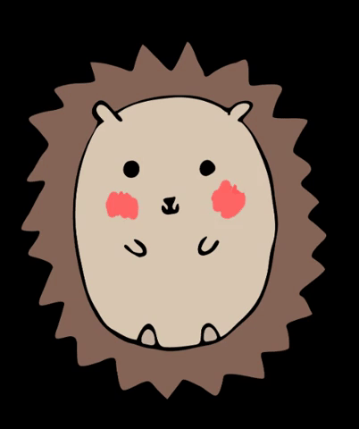 Hedgehog Cute Animals GIF