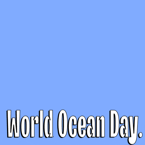 Ocean Reduce GIF by Pudgy Penguins