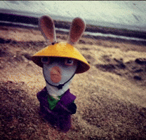 Hat Frog GIF