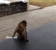 Dog Monkey GIF by DevX Art