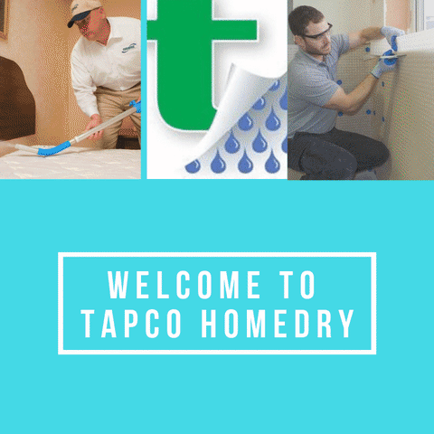 Damp Proofing Service London GIF