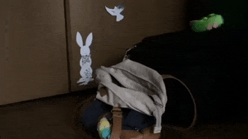Video gif. In a room with a suitcase and backpack on the floor, a small owl slides out from behind the luggage and looks at us with wide eyes.