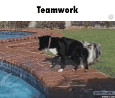 Teamwork Wonder Pets GIFs - Find & Share on GIPHY