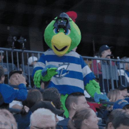 Columbus Clippers Krash GIF by Clippers Baseball