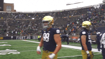 College Football Nd GIF by Notre Dame Fighting Irish