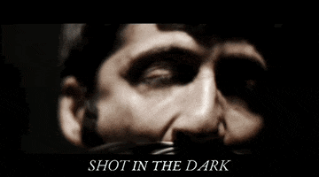 Shot In The Dark Movie GIF by Raven Banner Entertainment