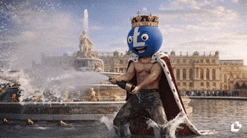 France Celebration GIF by LitVM