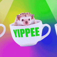 Yip GIFs - Get the best gif on GIFER