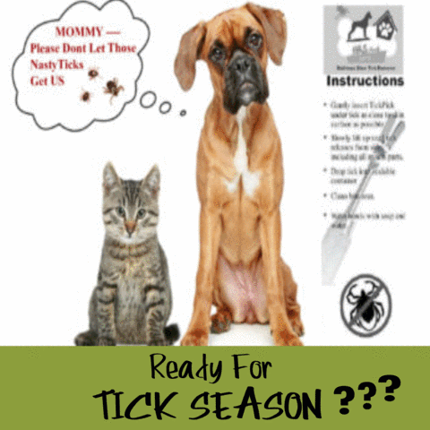 HRS dog ticks pet tick remover dog tick remover GIF