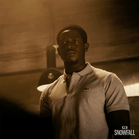 Are You Serious Fx Networks GIF by Snowfall
