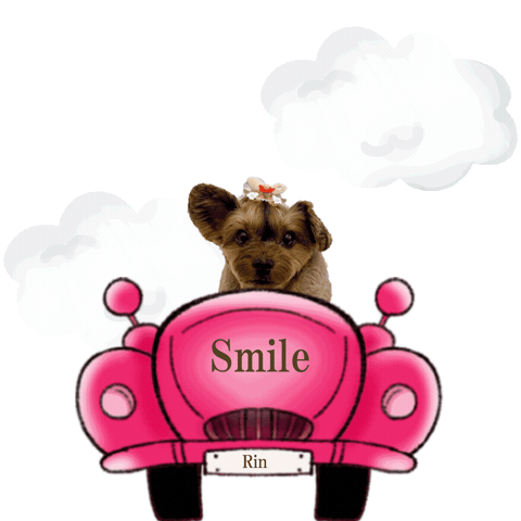 Idoldog Sticker