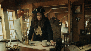Pirate Crm GIF by HubSpot