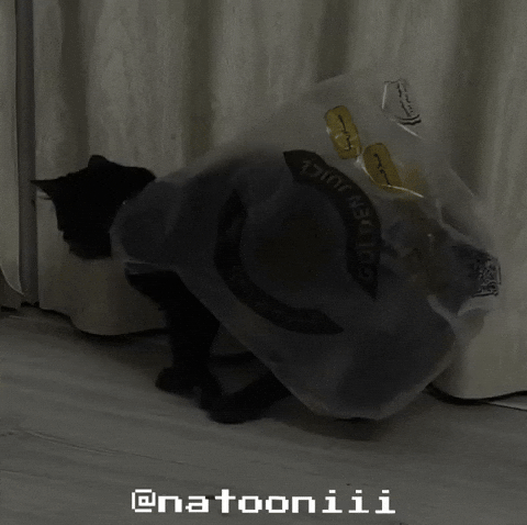 Natooniii GIF
