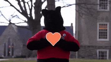 Valentines Day Love GIF by Haverford College