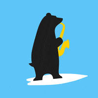 Bear Surfing GIF by Visitpori