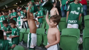 Felicidade GIF by SE Palmeiras