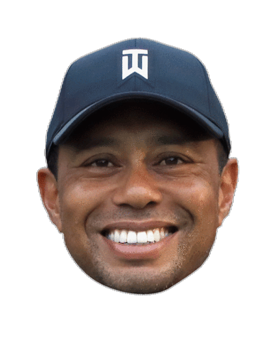 Sticker by Golf Post