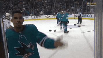 Lets Go Nhl GIF by San Jose Sharks