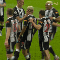 Newcastle United Hug GIF by Newcastle United Football Club