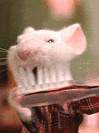 mouse brush your teeth stuart little tooth brush brushing my teeth GIF