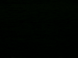 day psa GIF