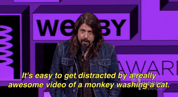 dave grohl internet GIF by The Webby Awards