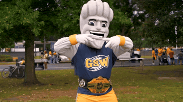 Mascot Hurricanes GIF by Georgia Southwestern State University