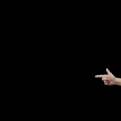 Studiocooliejoelie GIF