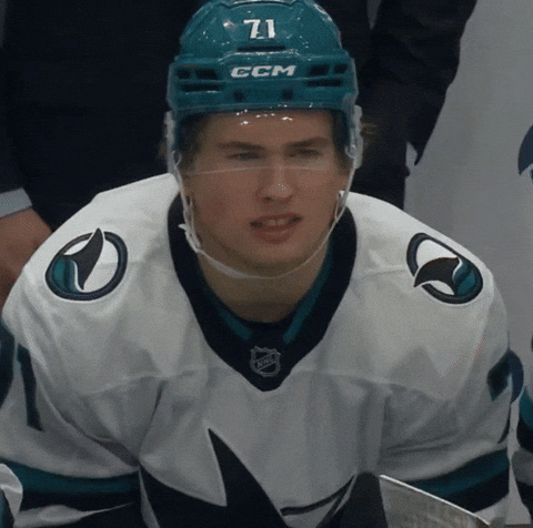 What The Hell Wtf GIF